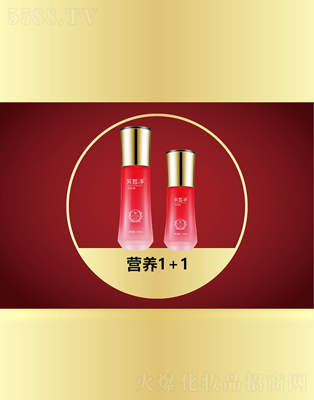 VfZHƼ޹˾ܽIB1+1