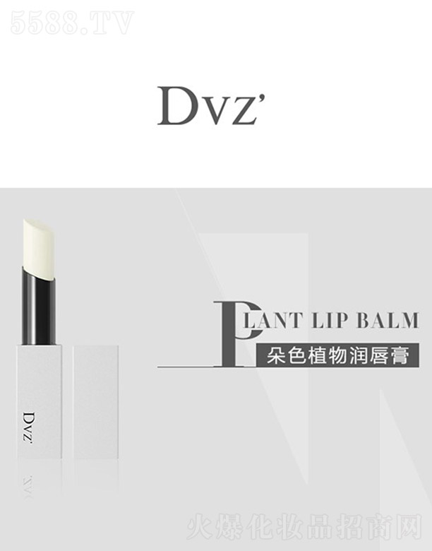 V|Ƽ޹˾Dvzֲ(rn) 4g