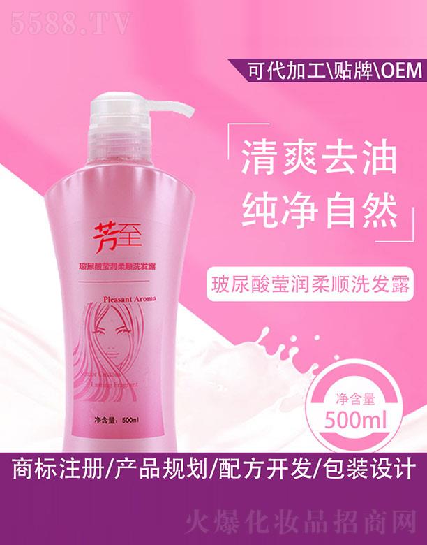 Vݰy˼yƷ޹˾ᬓϴl¶ 500ml