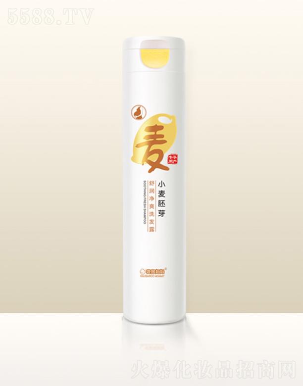 VݐƼ޹˾󋌋Сѿ杙ˬϴl¶ 300gغ坍^l۹