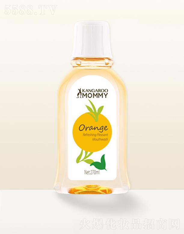 VݐƼ޹˾󋌋ˮζ270mlܺo־ˬ