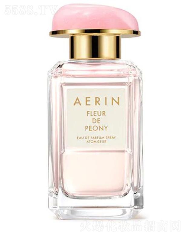 Ԋm죨ϺQ޹˾AERINĵ ɫ һҊA
