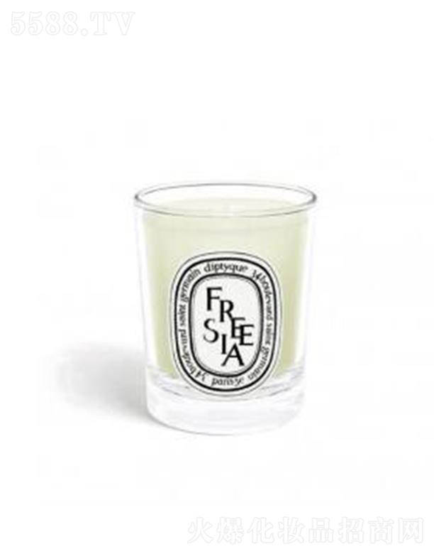 ֣ϺQ޹˾diptyque ϞT70g-Сnm