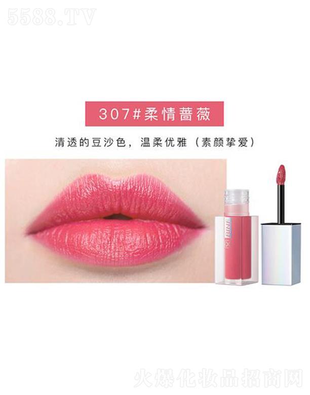 Vr̘Iɷ޹˾ݼ۴307#Nޱ