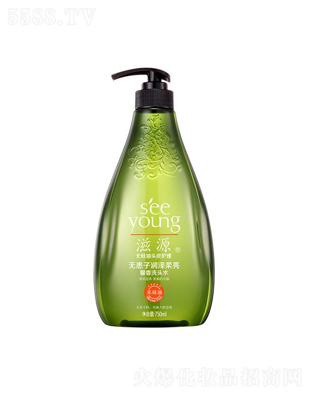VݭhyƷƼɷ޹˾Դoӝܰϴ^ˮ750mL