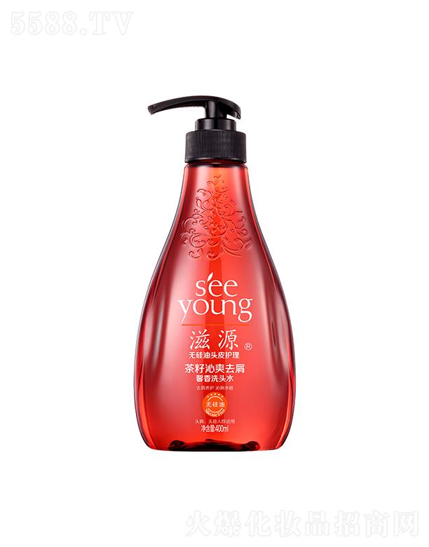 VݭhyƷƼɷ޹˾Դˬȥмܰϴ^ˮ400mL