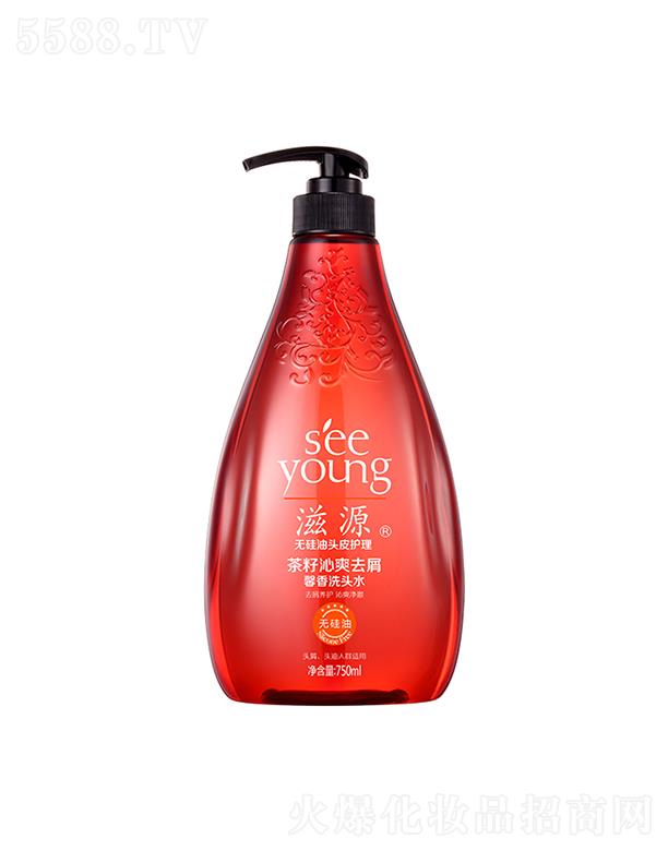 VݭhyƷƼɷ޹˾Դˬȥмܰϴ^ˮ750mL