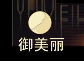 aI޹˾