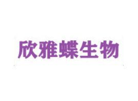 ŵ(BT)＼g޹˾