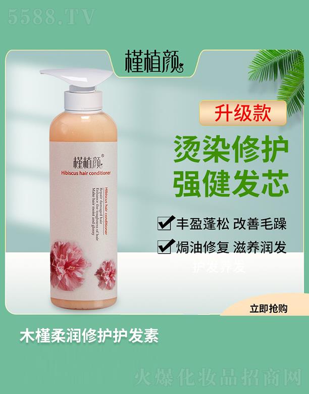 ֲľ᝙ool 500ml ol|ƯB^Ƥ
