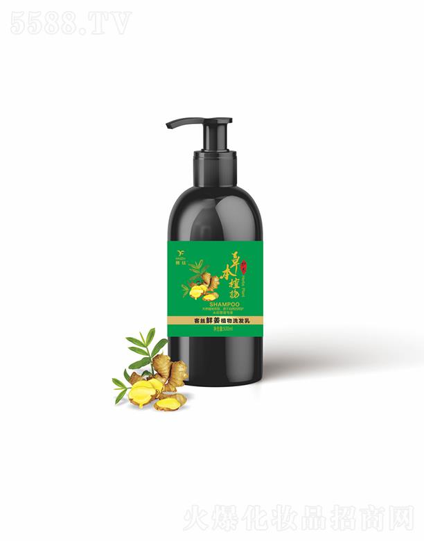 ͽzrֲϴl  500ml  iסIB