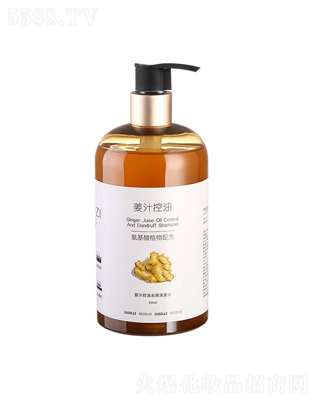 -֭ȥмϴl(f)ˮ 500ML